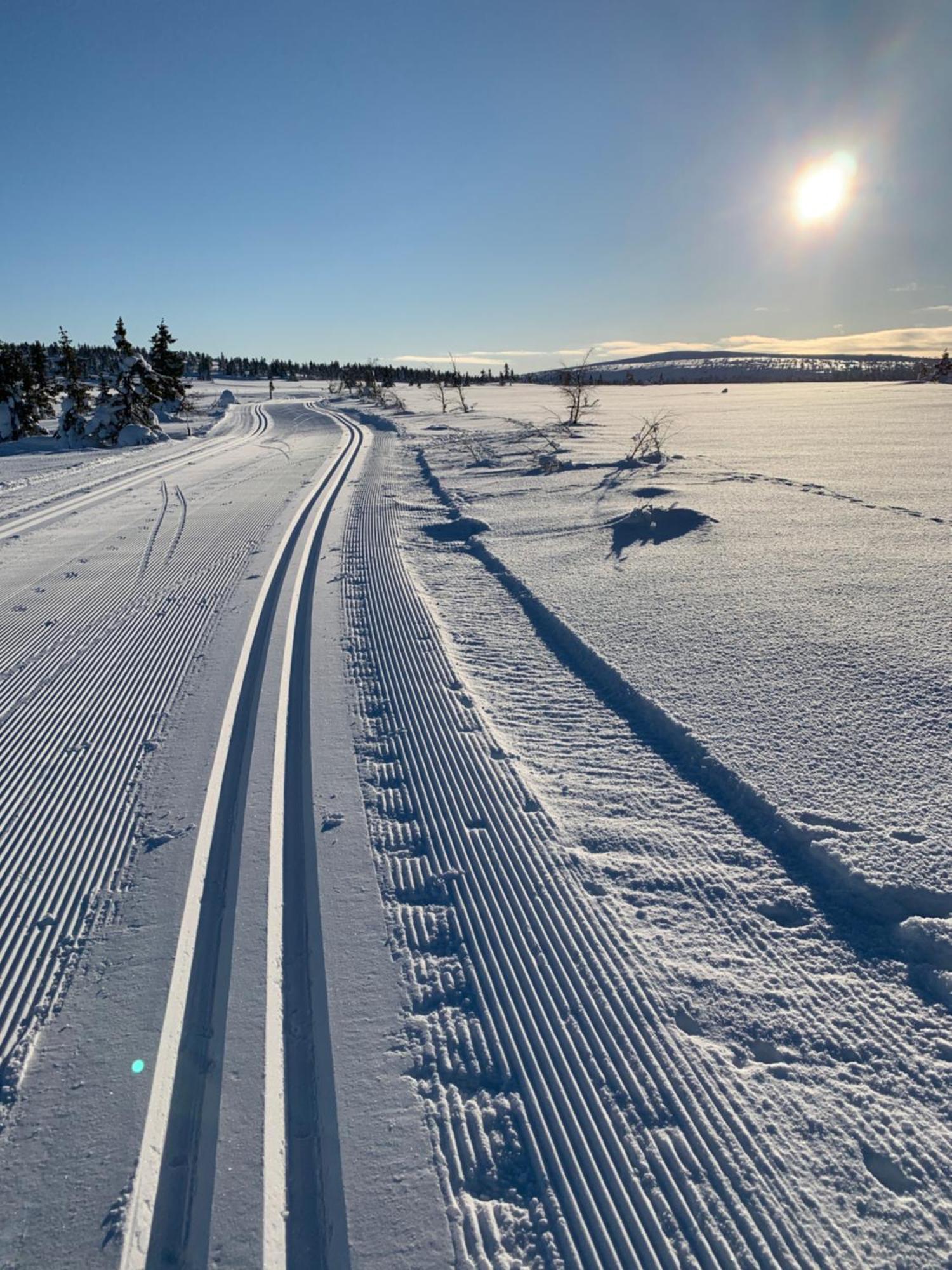 Sjusjoen Hytteutleie As Exterior foto