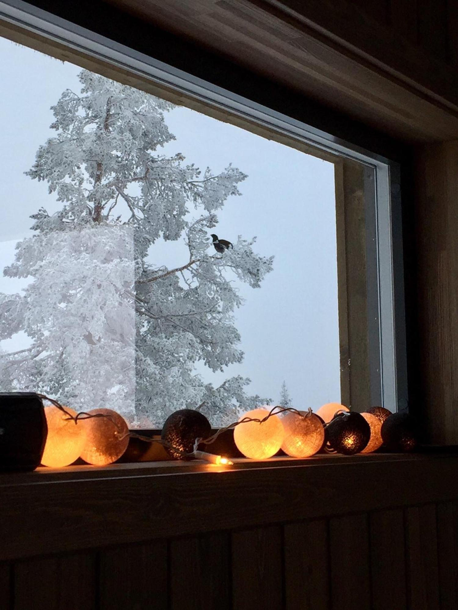 Sjusjoen Hytteutleie As Exterior foto